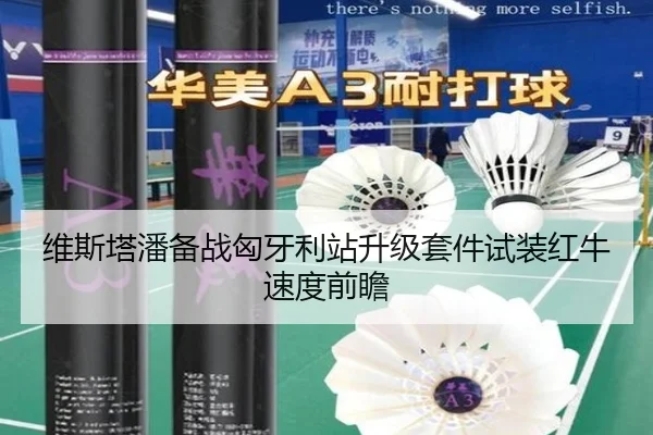 维斯塔潘备战匈牙利站升级套件试装红牛速度前瞻